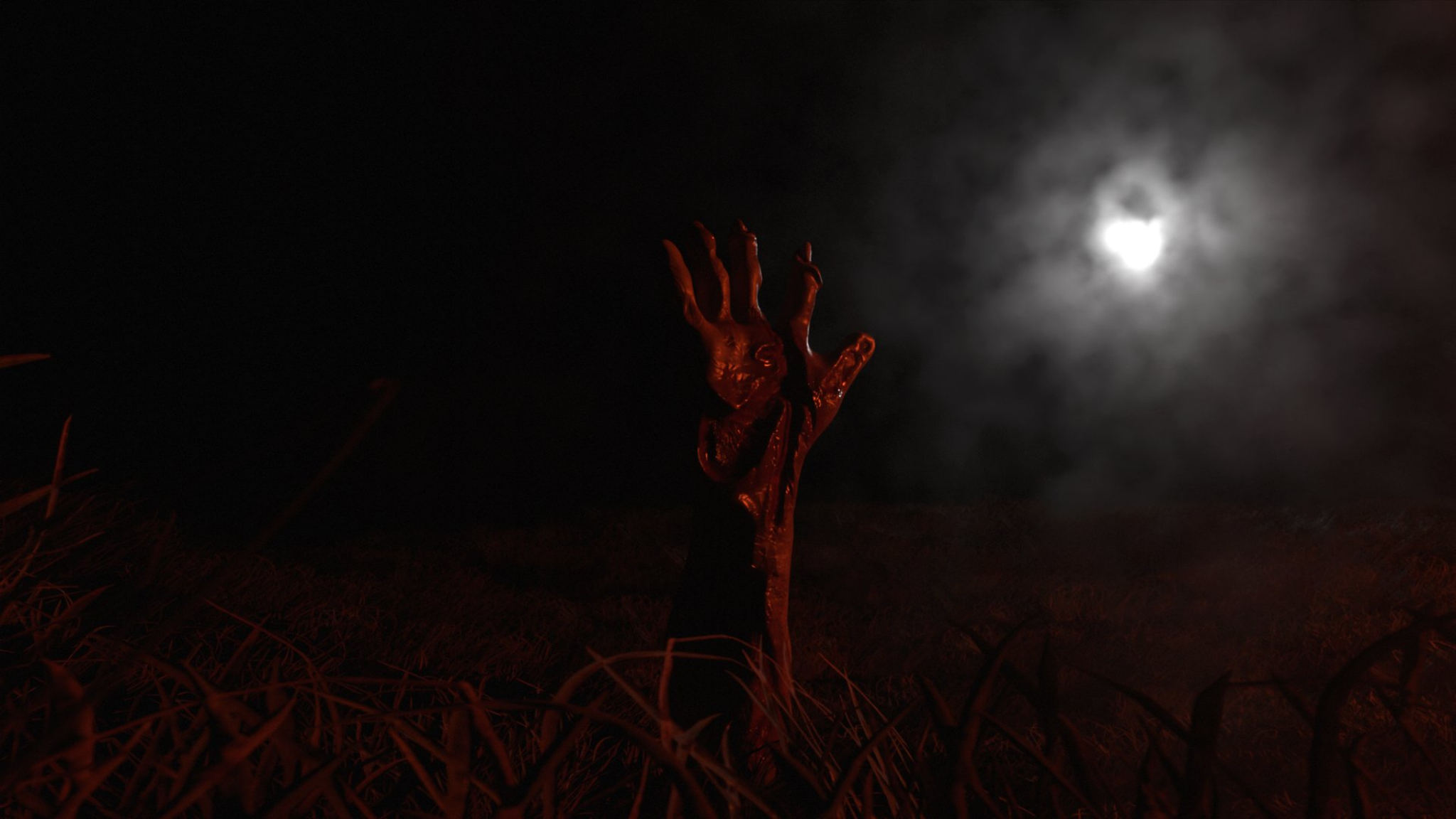 Portfolio post 5 cover